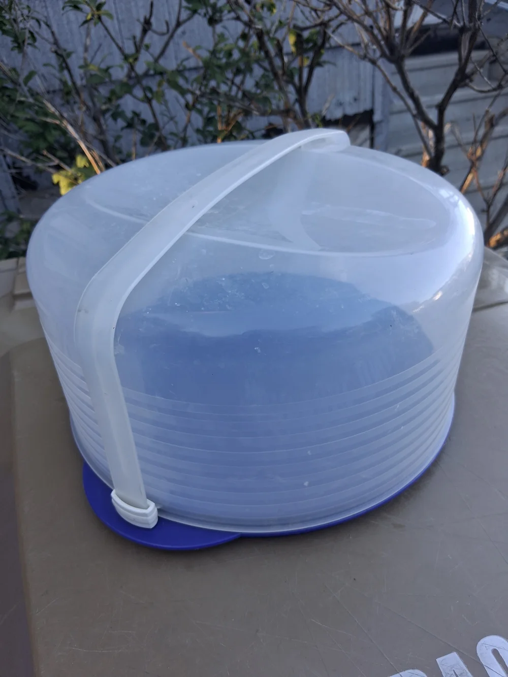 Clear Plastic Cake Carrier with Purple Base 6 1/2 Tall X 11 3/4